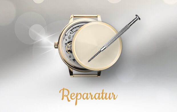 Reparatur