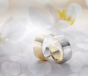 Welche Legierung bei Eheringen?